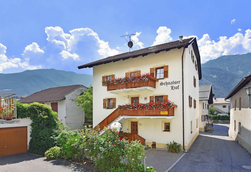 AquaForum VivaLatsch